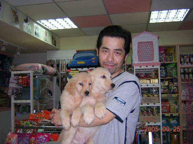 陈道明的第六张照片--尤溪婚介网