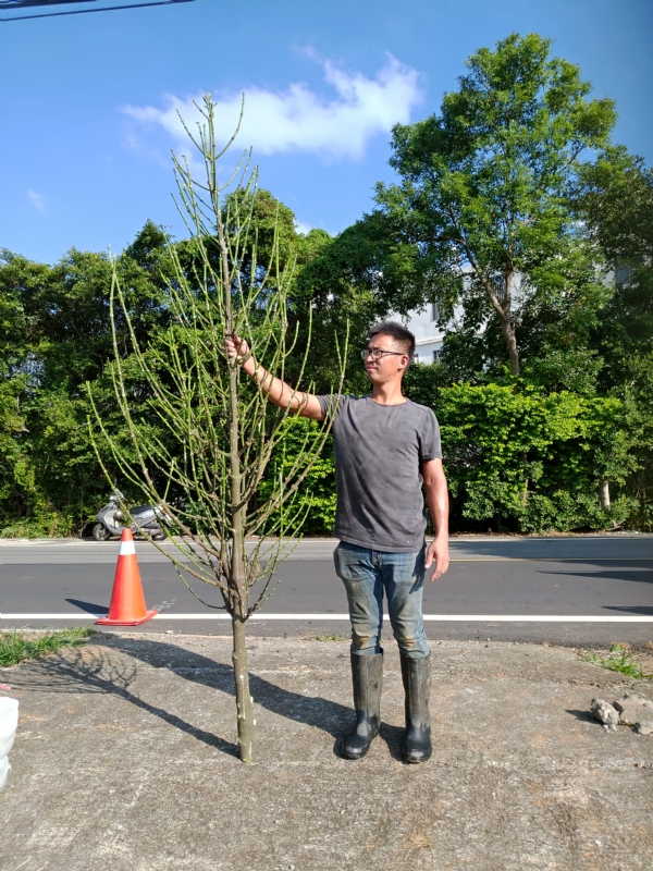 jeff的第二张照片--尤溪婚介网